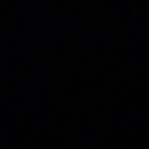 Meet your Posher, Bella